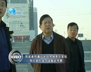现金网官网