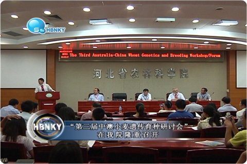 现金网官网