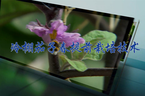现金网官网
