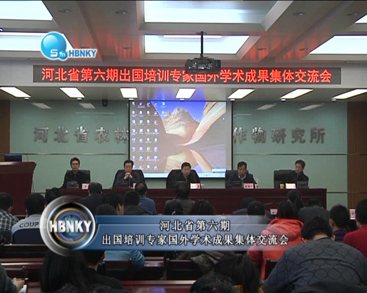现金网官网