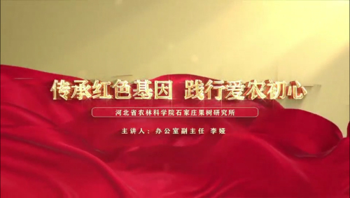 现金网官网