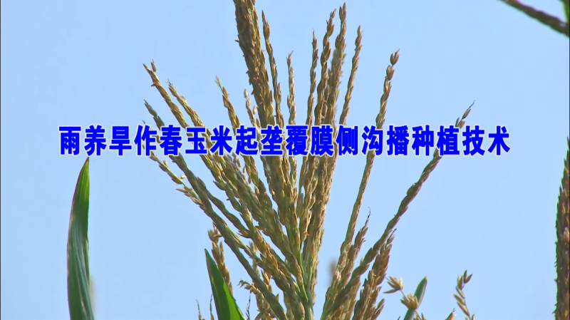 现金网官网