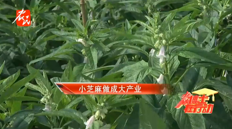 现金网官网