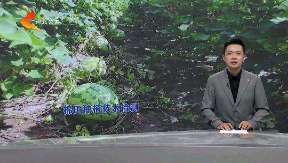 现金网官网