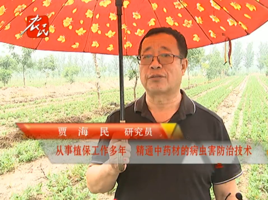 现金网官网