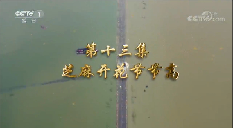 现金网官网